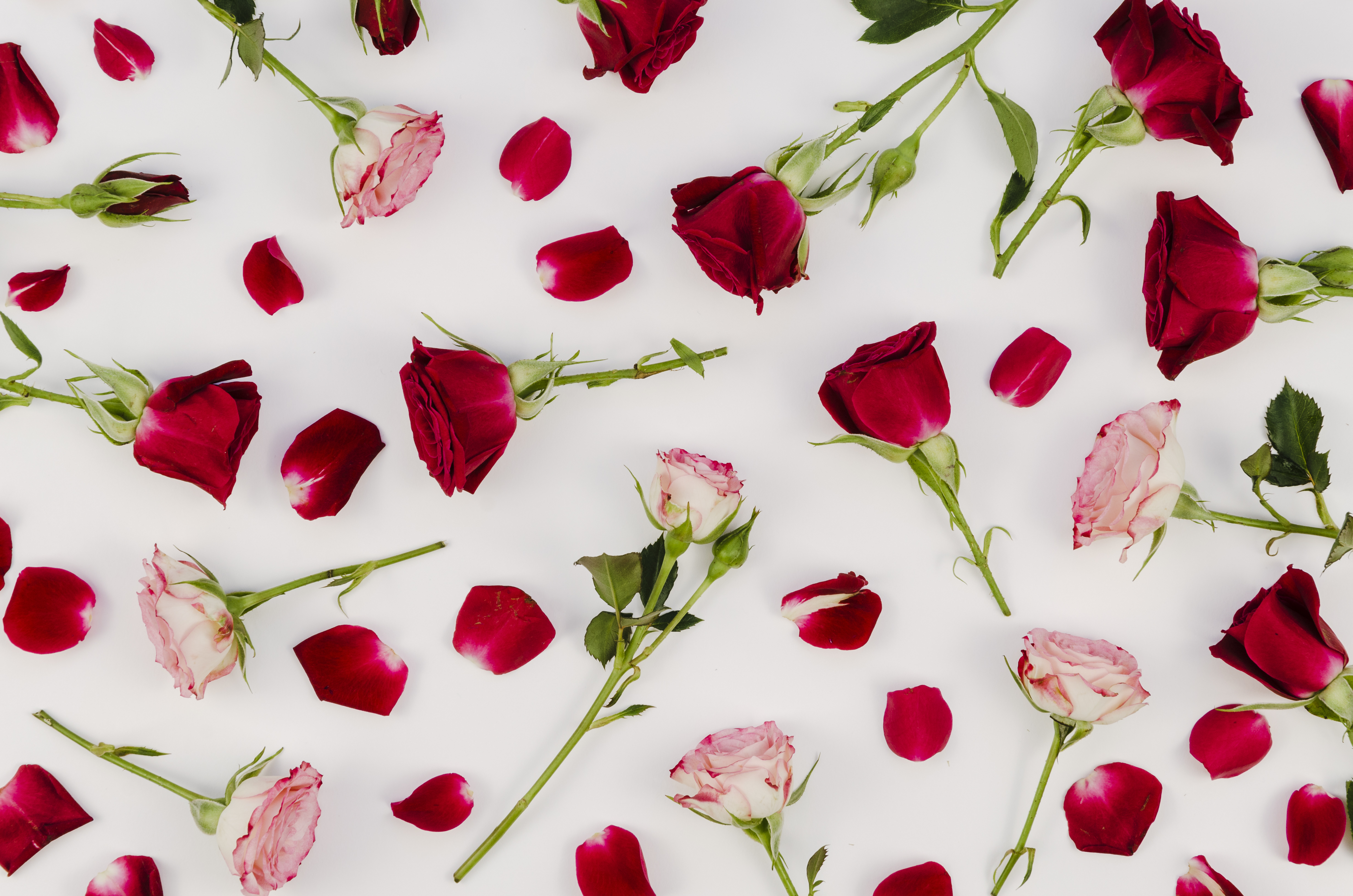 AL GHADEER FLOWERS