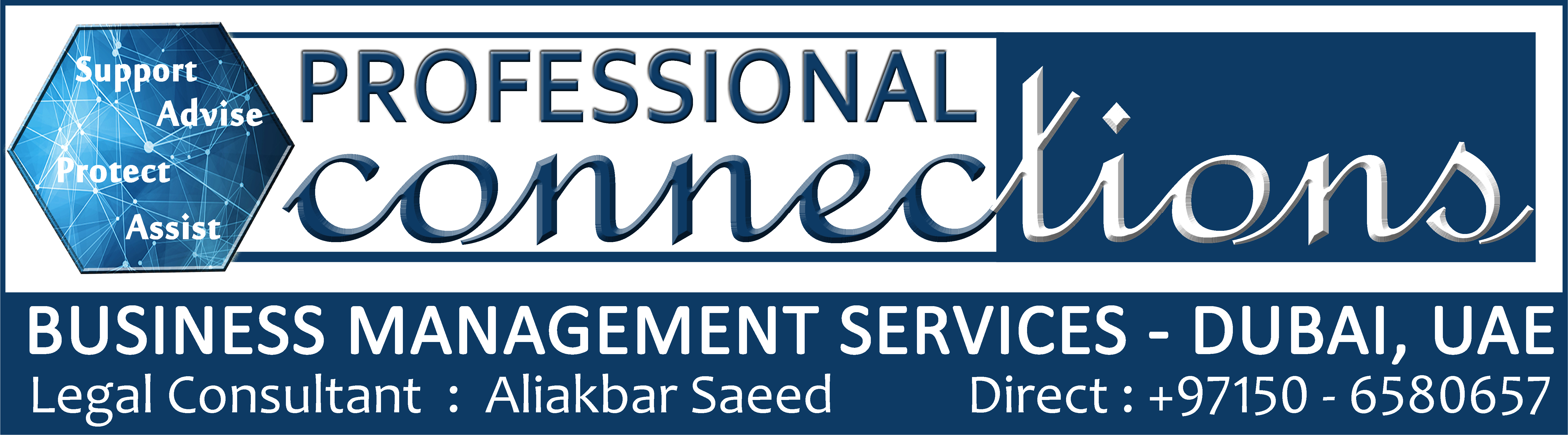 Professional Connections Consultancy_logo